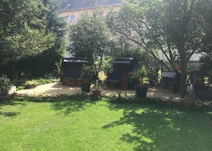 Wieko Πλάουεν